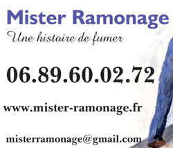 mister-ramonage