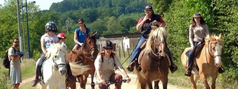 Fete Du Cheval Satolas Et Bonce 2022