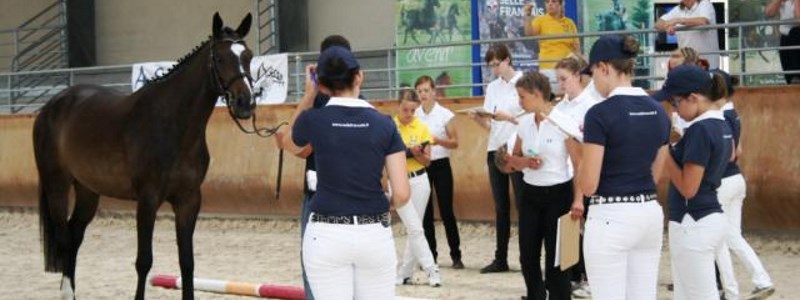 Association Top Dressage Team Satolas-et-Bonce