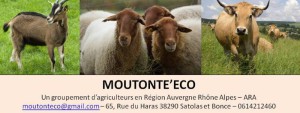 Association Moutonte'Eco Satolas-et-bonce