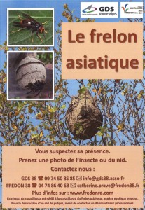 poster-lutte-contre-le-frelon-asiatique