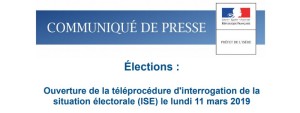 teleprocedure-situation-electorale