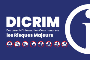 DICRIM
