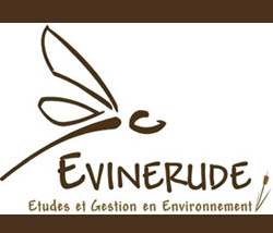 evinerude