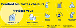 canicule-2023