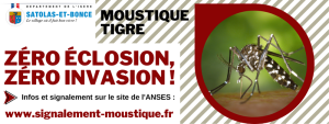 moustiques-site