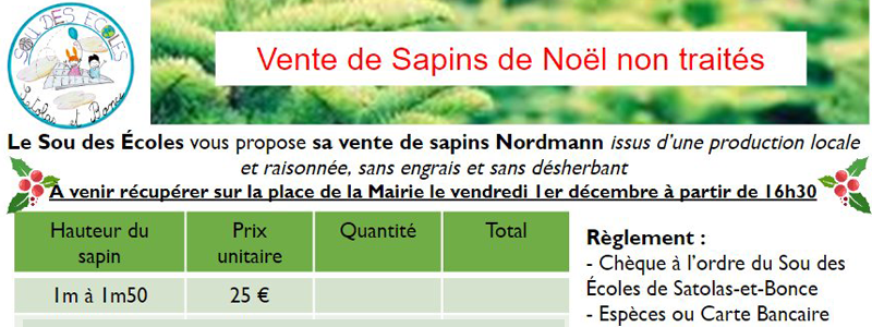 🎄 Vente de sapins de Noël