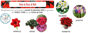fleurs-SDE-2023