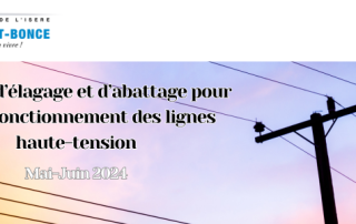 SITE WEB_Actu_Bannière elagage RTE