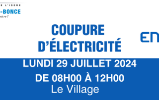 SITE WEB Coupure Enedis