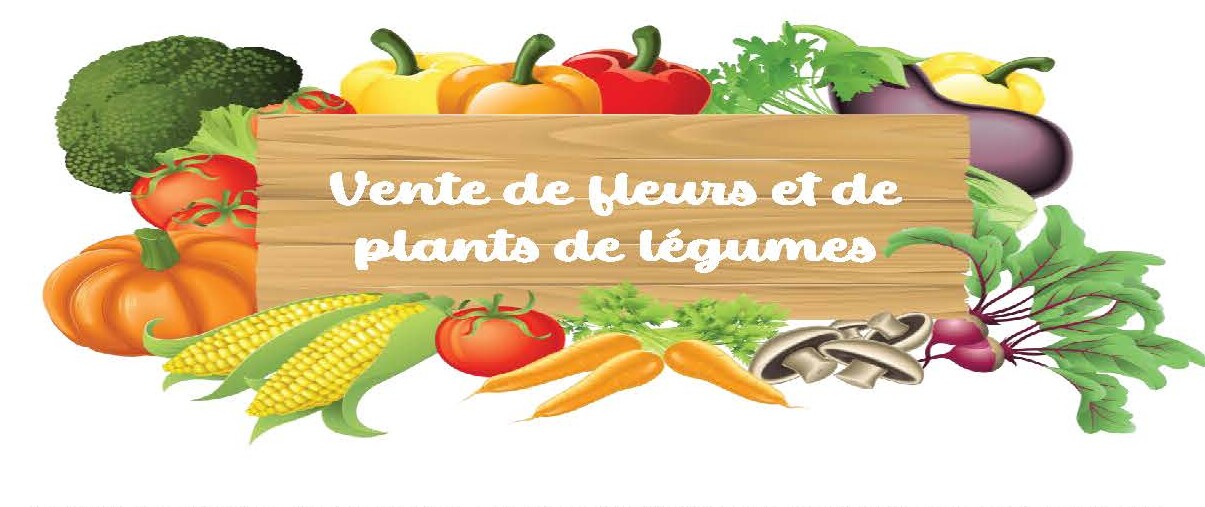Vente de fleurs