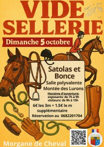 2025 10 05_Vide sellerie