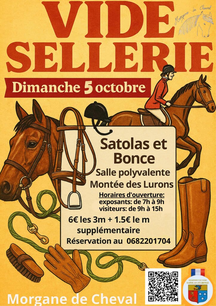 2025 10 05_Vide sellerie