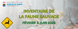 SITE WEB Faune sauvage