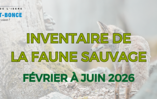 SITE WEB Faune sauvage