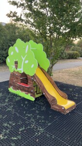 IMG_0981