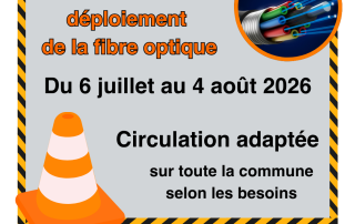 RS fibre optique
