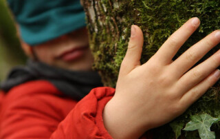 Article_Site_CAPI_Sorties_nature_750x420px