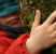 Article_Site_CAPI_Sorties_nature_750x420px