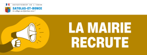 Recensement article