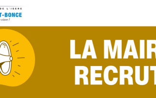 Recensement article